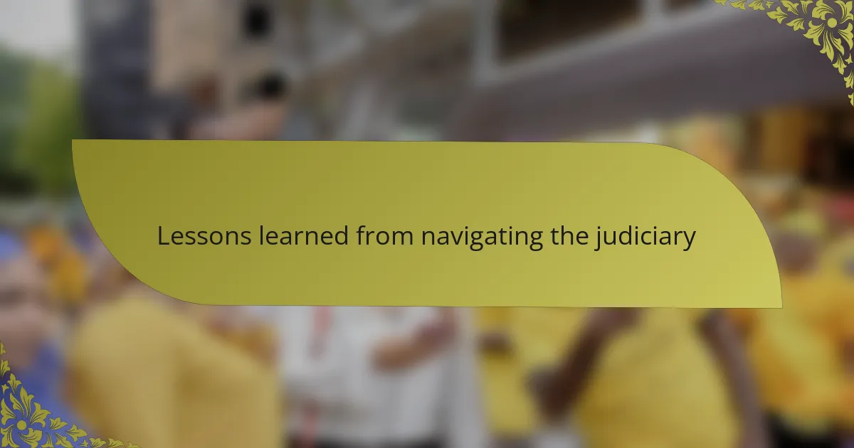 Lessons learned from navigating the judiciary