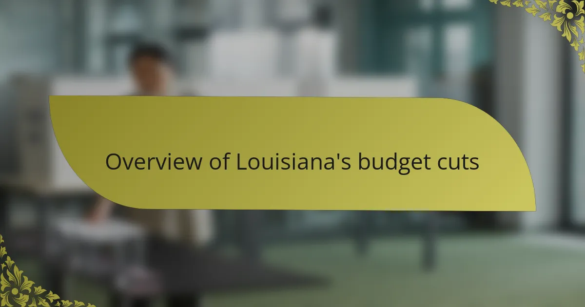 Overview of Louisiana's budget cuts