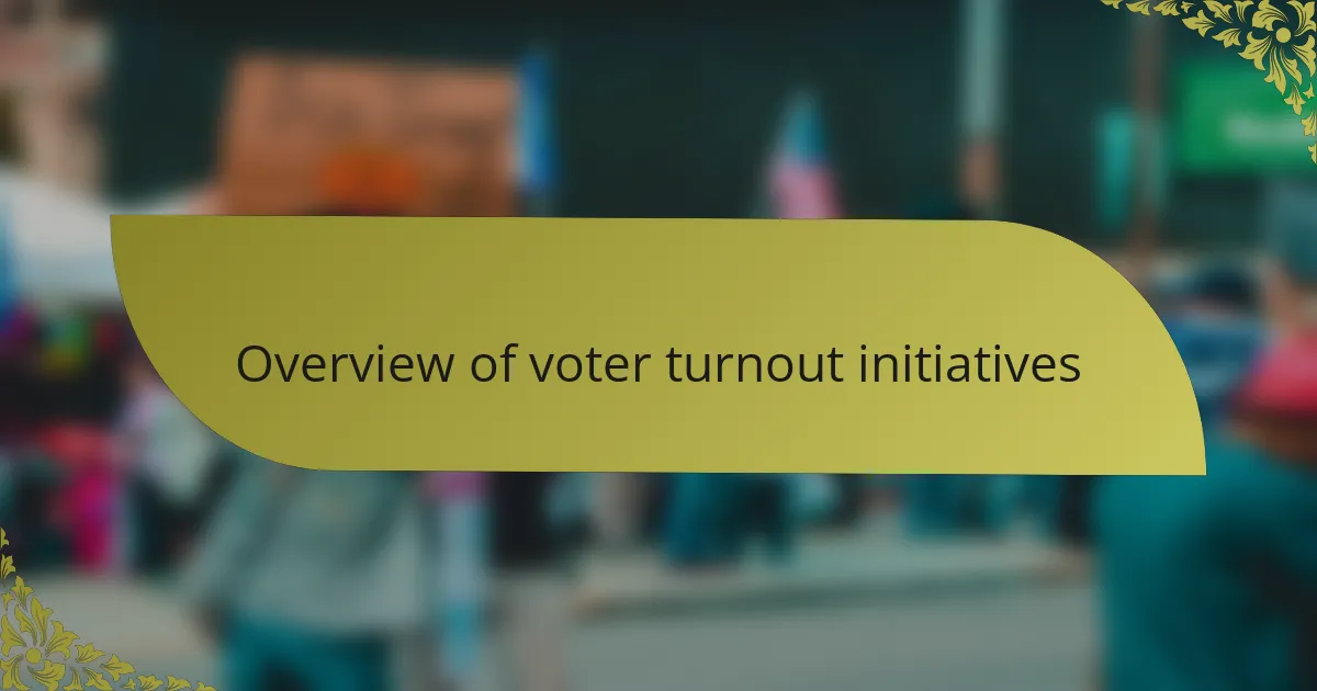 Overview of voter turnout initiatives
